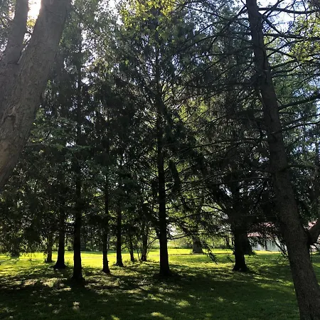 South Forked Creek Farm