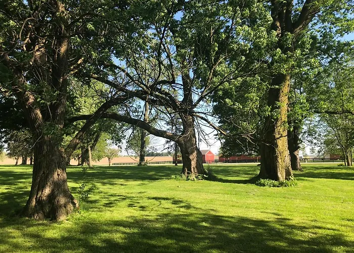 South Forked Creek Farm * Manteno